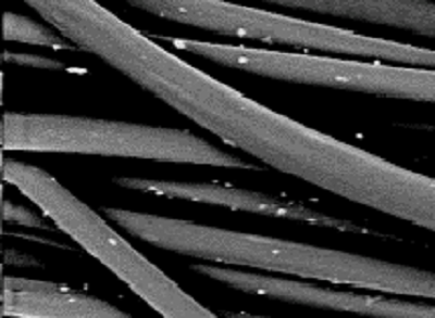 A look through an electron microscope shows the silver and copper embedded throughout purthread fibers